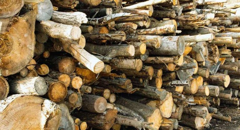 Empilement de bûches de bois de chauffage coupées